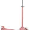 BANWOOD ECO Roller raspberry