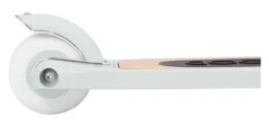 BANWOOD Roller mint
