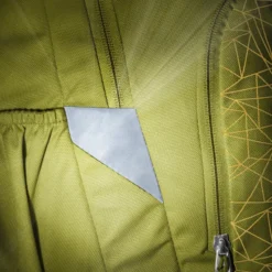 Deuter Rucksack Cotogy cactus-kelp