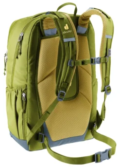 Deuter Rucksack Cotogy cactus-kelp