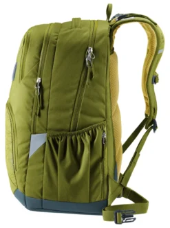 Deuter Rucksack Cotogy cactus-kelp