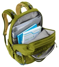 Deuter Rucksack Cotogy cactus-kelp
