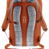 Deuter Rucksack StepOut 22 copper-oak