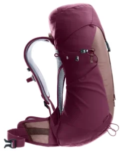 Deuter Wanderrucksack AC Lite 22 SL ashrose-cassis