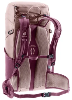 Deuter Wanderrucksack Telatie 24 SL ashrose-cassis
