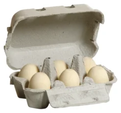 Erzi Kaufladenzubehör Eier, weiß im Karton 17010