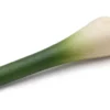 Erzi Kaufladenzubehör Frühlingszwiebel 12051