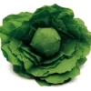 Erzi Kaufladenzubehör Salatkopf 12280