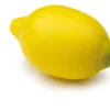 Erzi Kaufladenzubehör Zitrone 11130