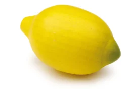 Erzi Kaufladenzubehör Zitrone 11130