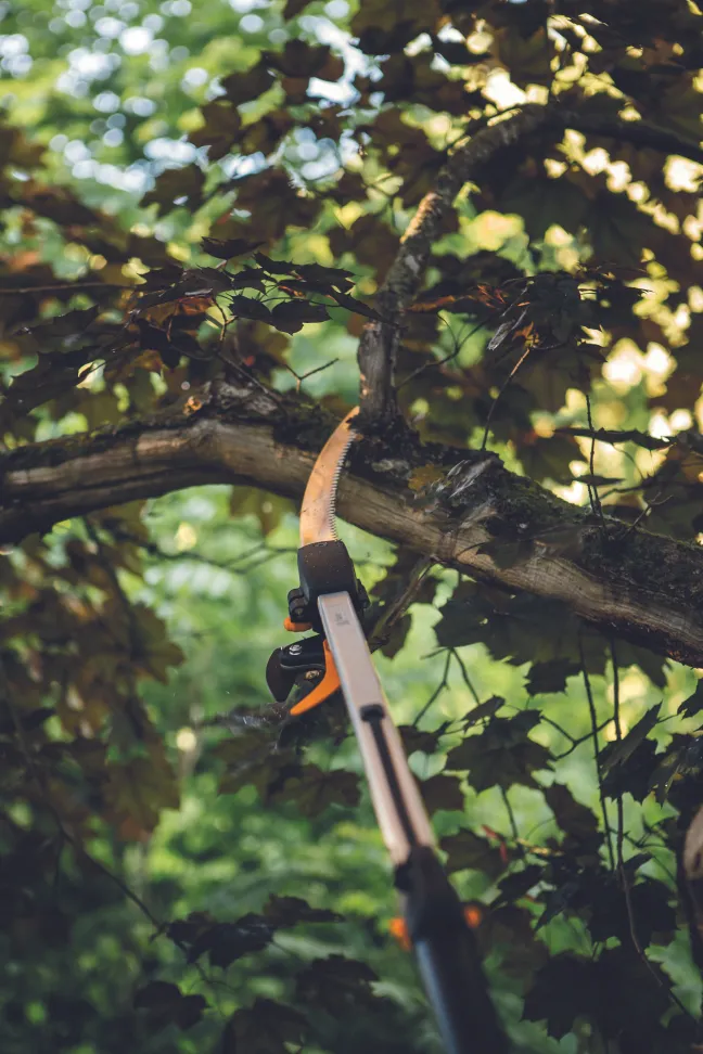 FISKARS Baumsäge für Bypass Schneidgiraffe UPX82 und UPX86