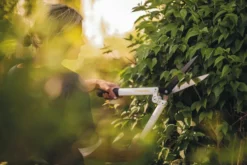 FISKARS Heckenschere HS53 Sale