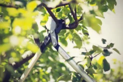 FISKARS PowerGear™ X Bypass-Getriebeastschere M LX94-M