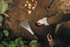 FISKARS Xact™ Hand-Fächerbesen mit 7 Zinken