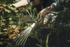 FISKARS Xact™ Hand-Fächerbesen mit 7 Zinken
