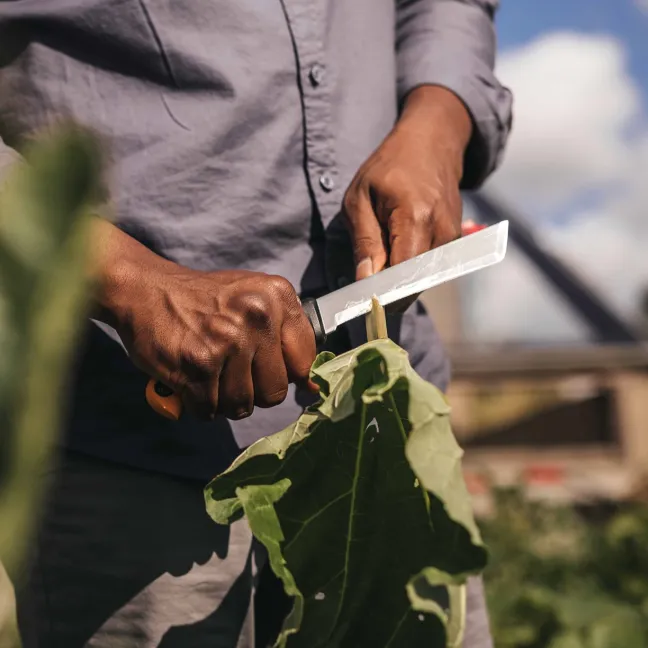 FISKARS X-series™ Erntemesser K82 Sale