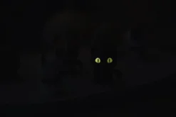 Hoptimist® Katze XS schwarz