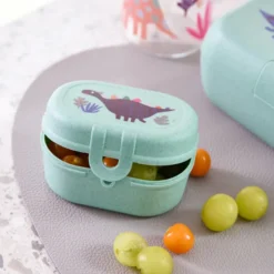 Koziol Snackbox PASCAL MINI REX organic green rex
