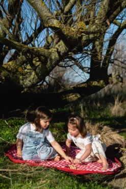 Play&Go Outdoor 2 in 1 Spielzeugsack Ø140cm Pic nic