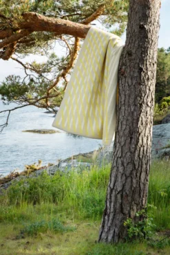 Roros Tweed BISLETT Lammwolldecke 130x200cm Lemon tart 5153