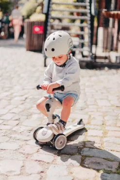 Scoot & Ride Highwaykick 1 ash 96268