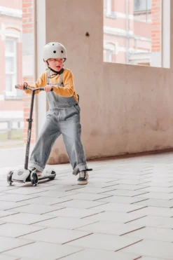 Scoot & Ride Highwaykick 5 LED ash