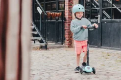 Scoot & Ride Highwaykick 3 LED blueberry