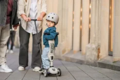 Scoot & Ride Highwaykick 1 Push & Go ash