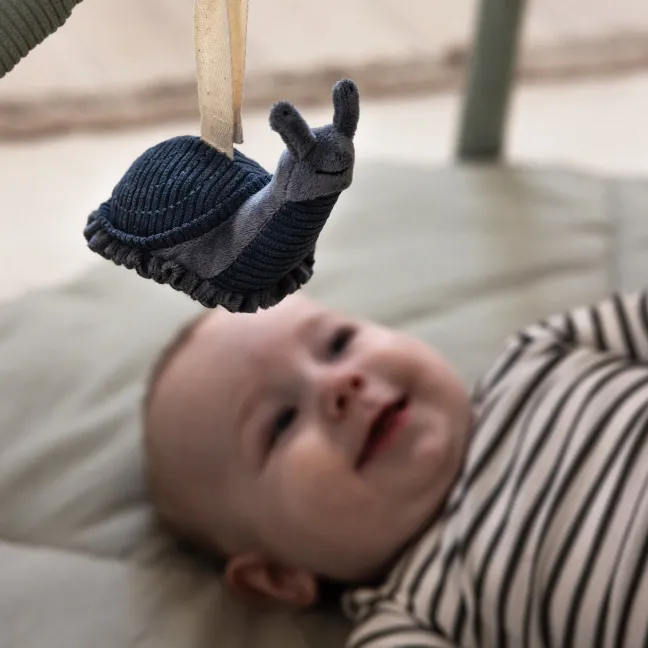 Sebra Aktivitätsspielzeug 3er Set Frosch/Biene/Schnecke