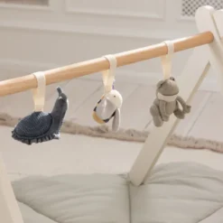 Sebra Aktivitätsspielzeug 3er Set Frosch/Biene/Schnecke