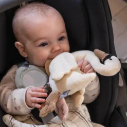 Sebra Aktivitätsspielzeug Schwan