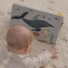 Sebra Aufklappbares Aktivitätsdreieck World of Sebra