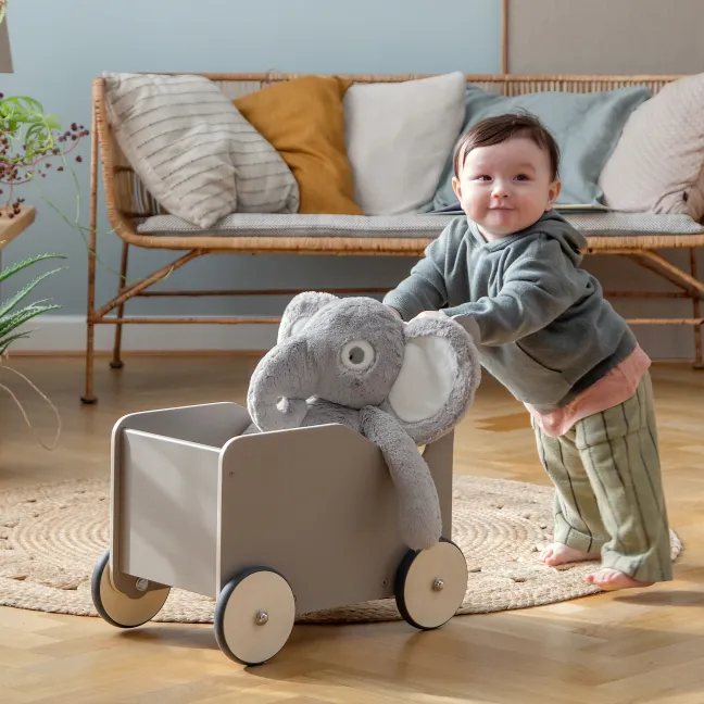 Sebra Lauflernwagen jetty beige