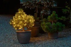Sirius Top-Line LED Netz 100 Lichter 2x1,5m Starterset inkl, Transformator klar/schwarz Sale