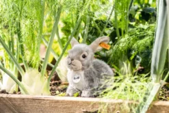 Steiff Dormili Hase 21cm 67488