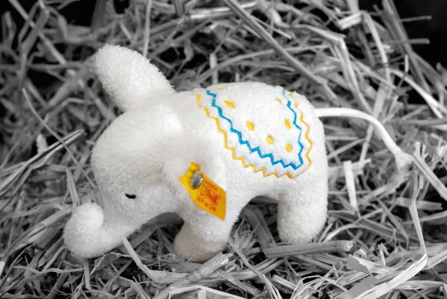 Steiff Elefäntle mit Rassel 10cm creme 241147