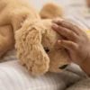 Steiff Floppy Lumpi Hund 20cm