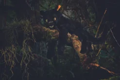 Steiff Nero Schlenker Panther 40cm schwarz