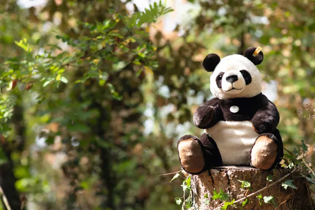 Steiff Teddies for tomorrow Pandi Big Panda 40cm 67877