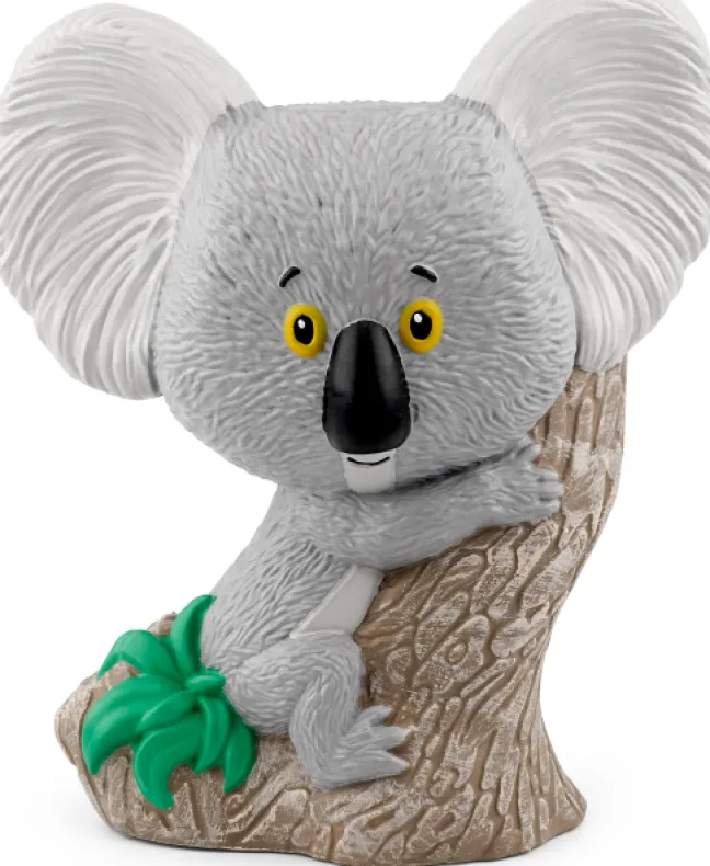 Tonie Rachel Bright - Trau dich Koala Bär