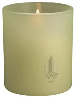 UYUNI LED Kerze im Glas 9x10 cm light green leaf