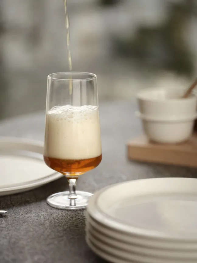 ZONE Denmark Bierglas Rocks 30 cl Klar