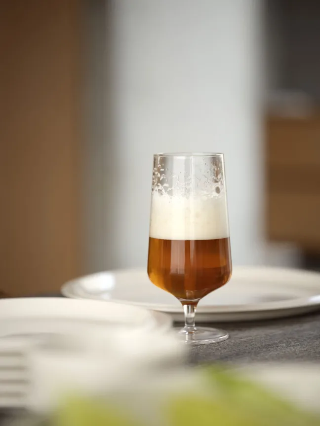 ZONE Denmark Bierglas Rocks 30 cl Klar