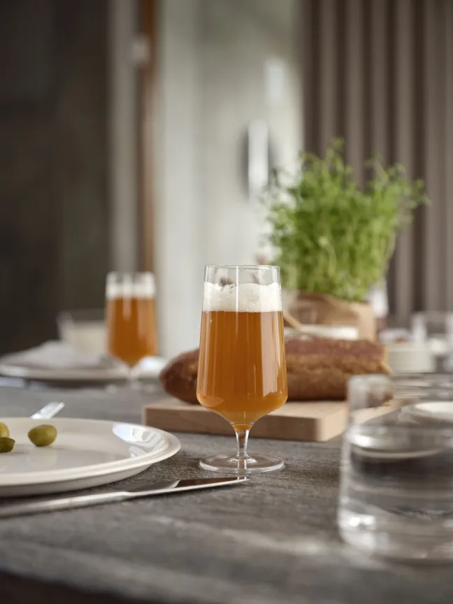 ZONE Denmark Bierglas Rocks 30 cl Klar