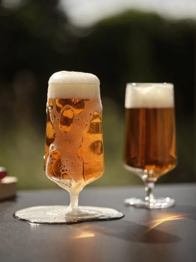 ZONE Denmark Bierglas Rocks 30 cl Klar