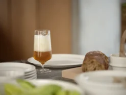 ZONE Denmark Bierglas Rocks 30 cl Klar