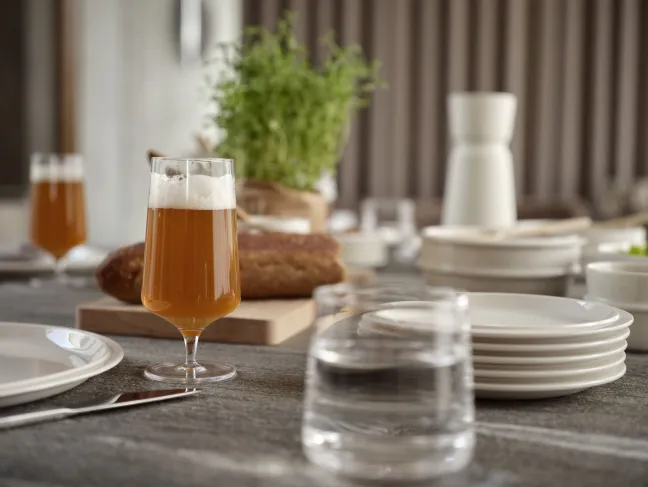 ZONE Denmark Bierglas Rocks 30 cl Klar