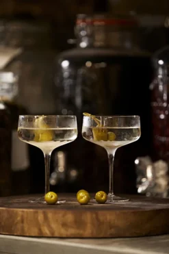 ZONE Denmark Coupe/Cocktail Glas Rocks 13,5 cm 2 Stück